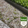 Pokon contro le erbe infestanti concentrato 450ml