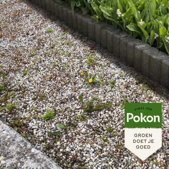 Pokon contro le erbe infestanti concentrato 450ml