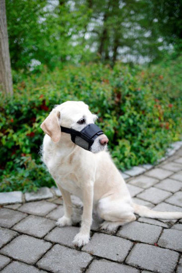 Bozal de nylon para perro talla XL negro