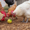 Palla snack per galline %c3%b8 75 cm gialla