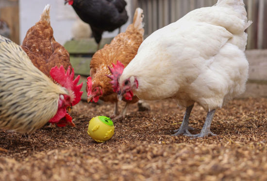 Palla snack per galline %c3%b8 75 cm gialla