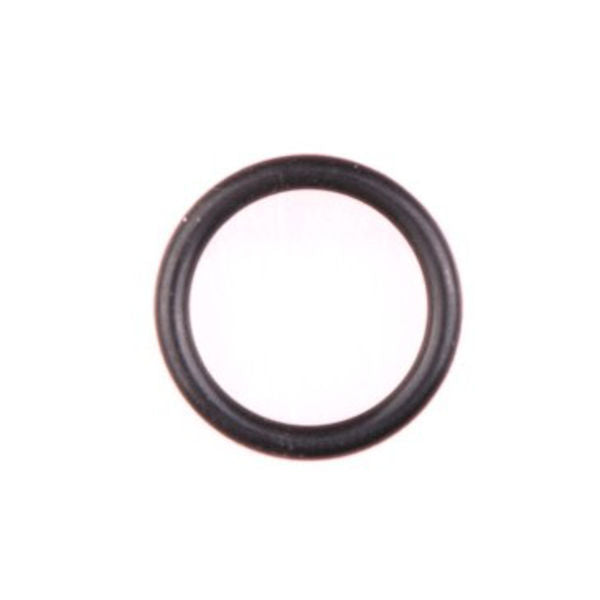 Gloria o ring 4