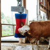 Happycow koeborstel maxiswing