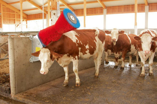 Spazzola per mucche Happycow uno orizzontale
