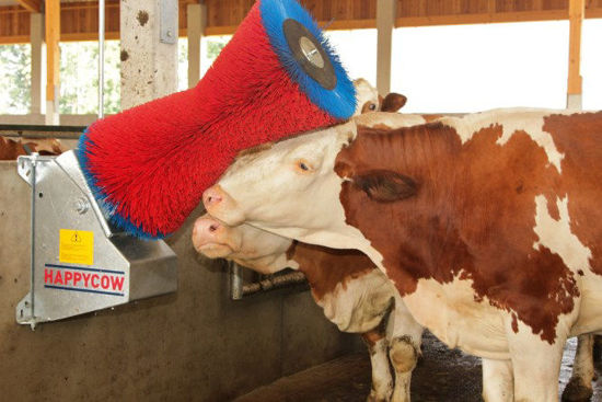 Spazzola per mucche Happycow uno orizzontale