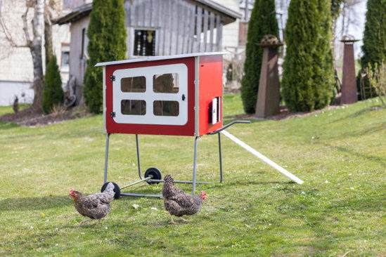 Gallinero de madera Mobilecoop