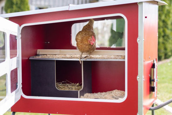 Gallinero de madera Mobilecoop