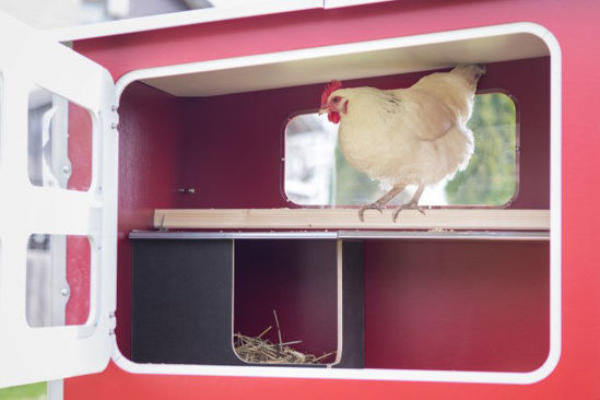 Gallinero de madera Mobilecoop