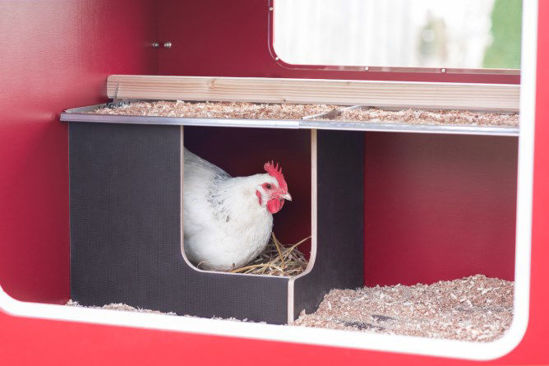 Gallinero de madera Mobilecoop