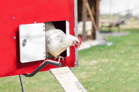 Gallinero de madera Mobilecoop