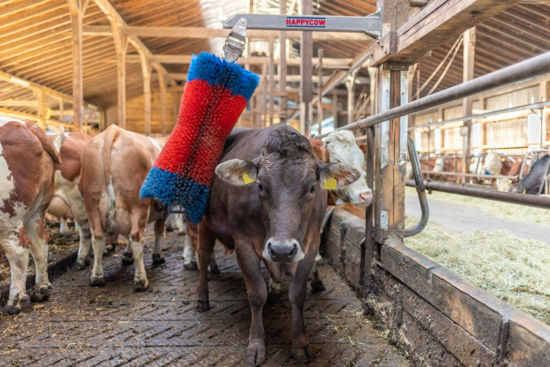 Spazzola per bestiame Happycow freemaxi