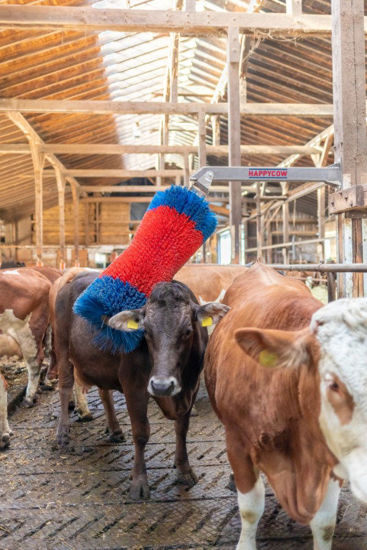 Spazzola per bestiame Happycow freemaxi