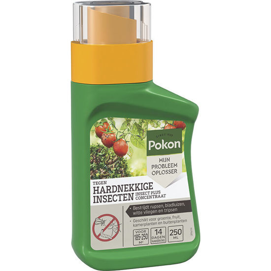 Kb control pokon contro insetti concentrato persistente 250ml insetti p
