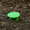 Slakkenval snailbowl 15cm