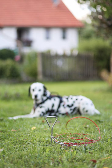 Espiral de construcción 8mm x 40cm con hilo para caminar 5mm x 6m