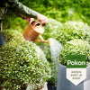 Pokon bio buxus ilex voeding 500 ml