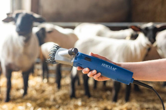 Aesculap econom esquiladora econom nova ovejas 200 vatios