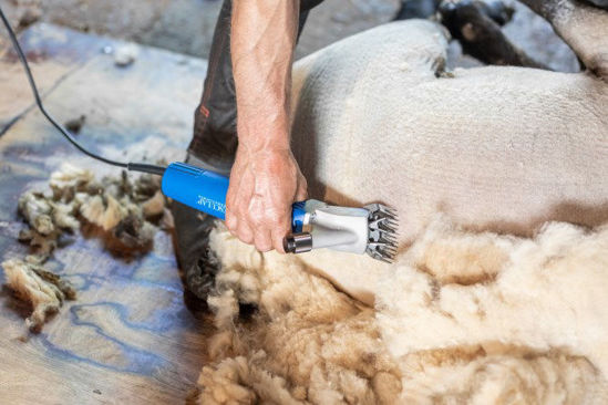 Aesculap econom esquiladora econom nova ovejas 200 vatios