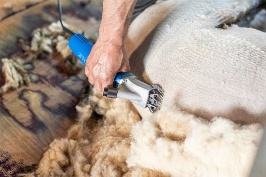 Aesculap econom esquiladora econom nova ovejas 200 vatios