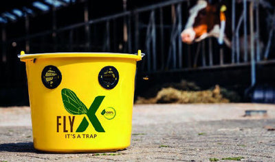 Cubo para moscas flyx 12l completo incluido atrayente