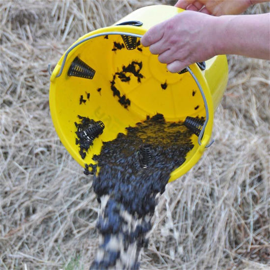 Cubo para moscas flyx 12l completo incluido atrayente