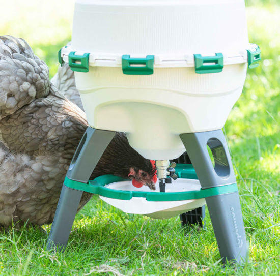 Olba optimus sifon drinker 25 liter