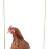Altalena per galline Kerbl 39 x %c3%b8 5 cm