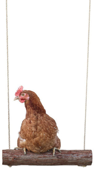 Altalena per galline Kerbl 39 x %c3%b8 5 cm