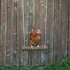 Altalena per galline Kerbl 39 x %c3%b8 5 cm