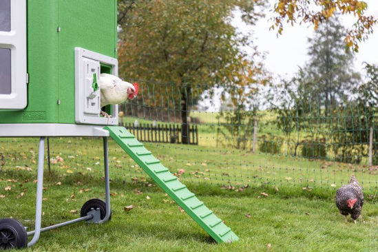 Gallinero de plástico Mobilecoop