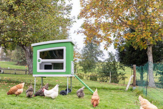 Gallinero de plástico Mobilecoop