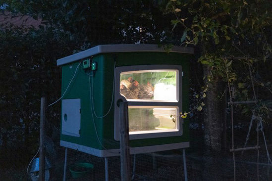 Gallinero de plástico Mobilecoop