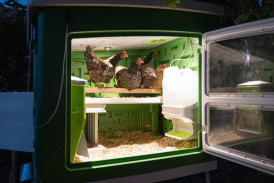 Gallinero de plástico Mobilecoop