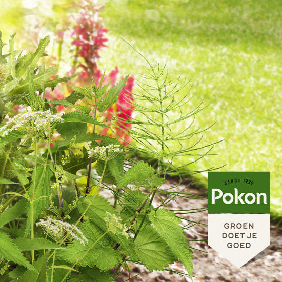 Pokon tegen hardnekkig onkruid concentraat 100ml weedex