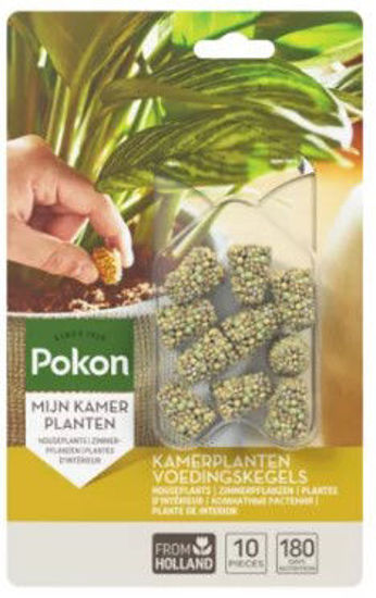 Pokon terraza plantas de balcón conos de alimentación 10uds