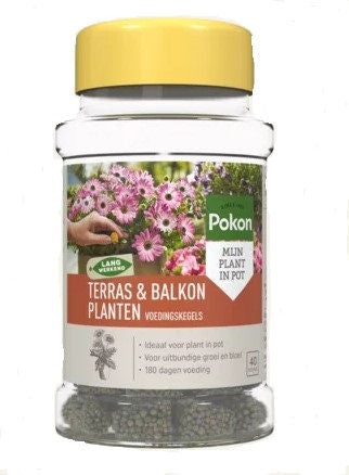 Coni per piante da balcone Pokon, 40 pz