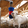 Happycow veeborstel flexiswing