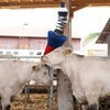 Happycow veeborstel flexiswing