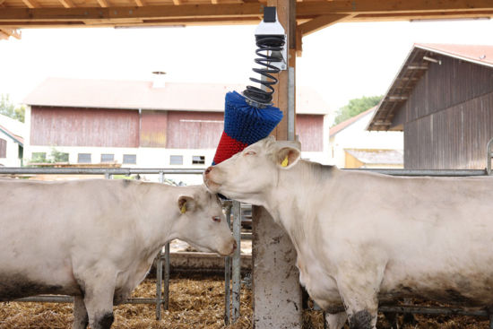 Happycow veeborstel flexiswing