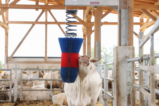 Happycow veeborstel flexiswing