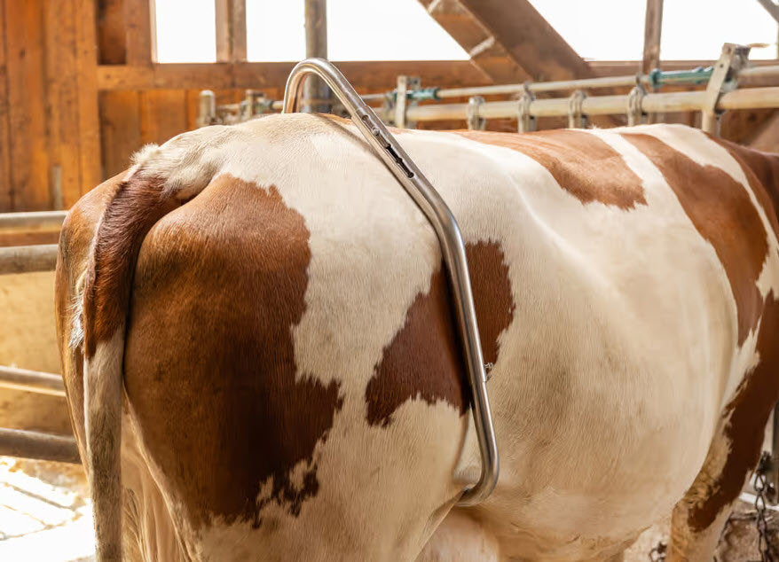 Products tension bracket easy release galvanized