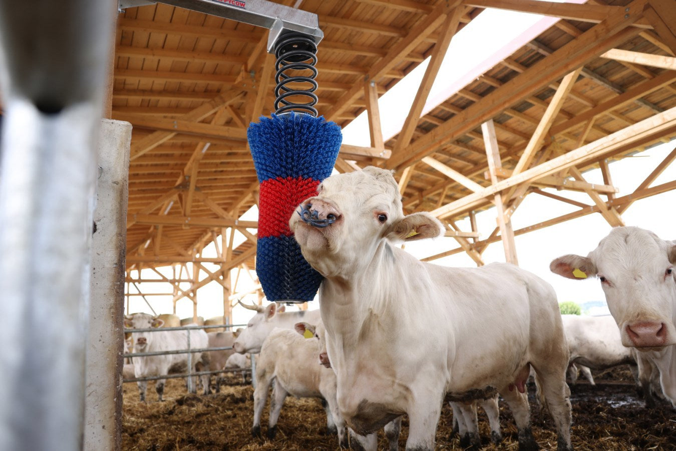 Spazzola flessibile per bovini Happycow