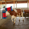 Producten happycow koeborstel duo