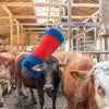 Producten happycow veeborstel freemaxi