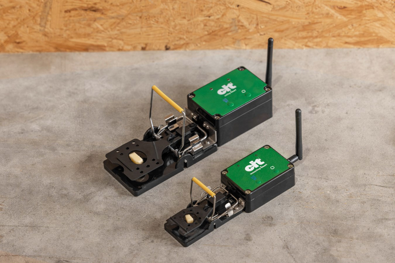 Trappola per topi smart cit ratstop