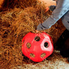 Producten voeder speel bal rood