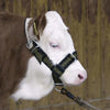 Cavezza per toro in nylon con anello a D