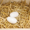 Huevos de nido Kerbl hechos de arcilla de gallinas