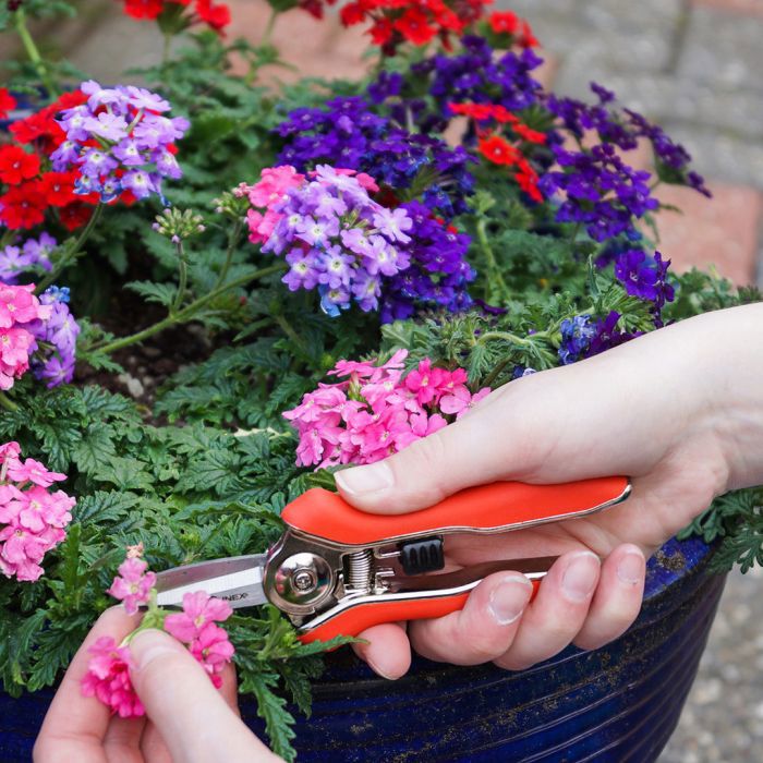 Cesoia da raccolta trimmer eurotool Mm mini