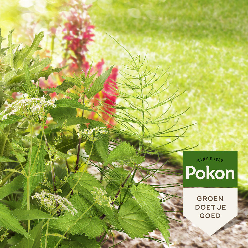 Pokon contra las malas hierbas rebeldes concentrado 100ml weedex